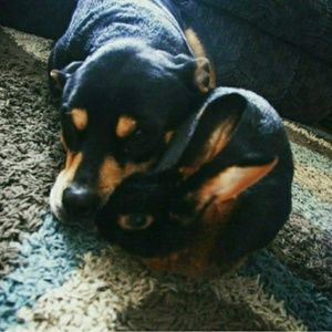 Meet your Posher, Amber